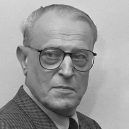 Portrait of Willem Frederik Hermans