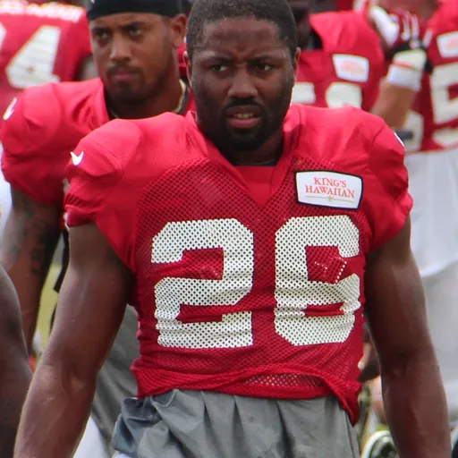Portrait of Josh Wilson