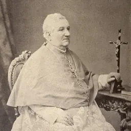 Portrait of Jacques-Maurice De Saint Palais