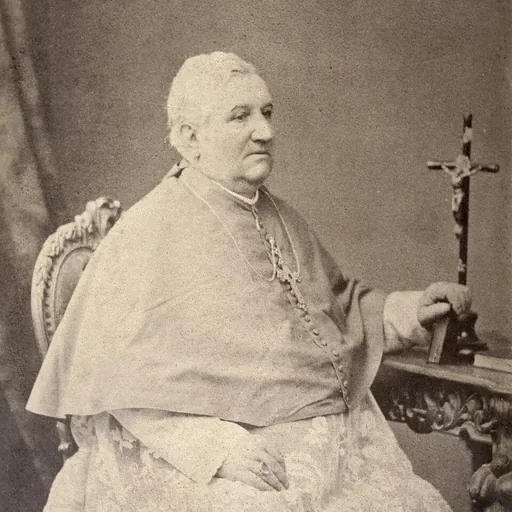 Portrait of Jacques-Maurice De Saint Palais
