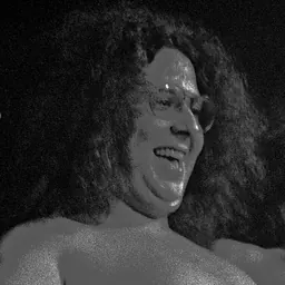 Portrait of Mark Volman