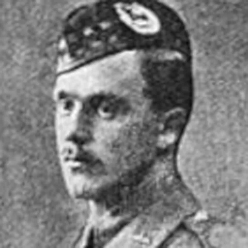 Portrait of James Anson Otho Brooke