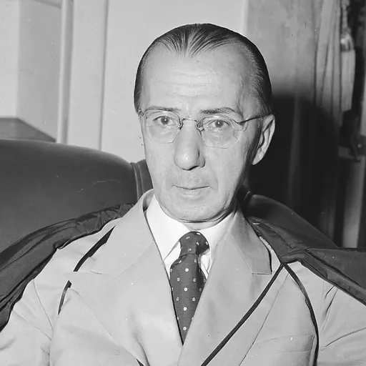 Portrait of Nélson Hungria