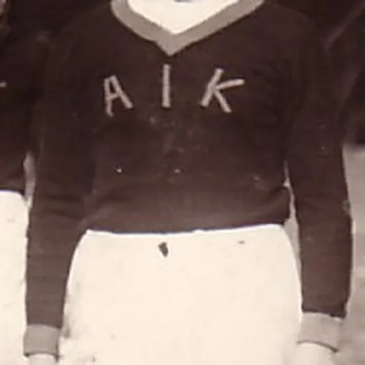 Portrait of Sven Lindqvist