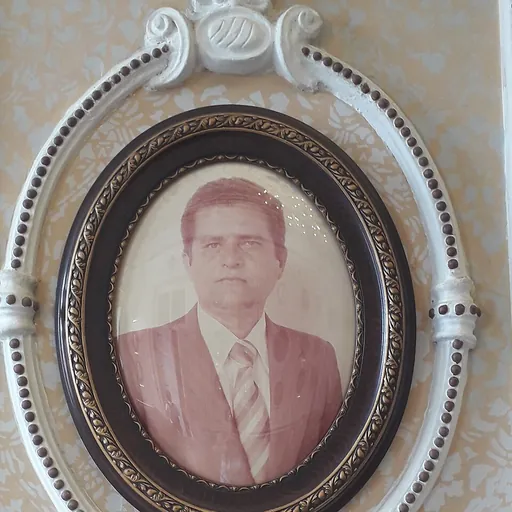 Portrait of José de Oliveira Fernandes