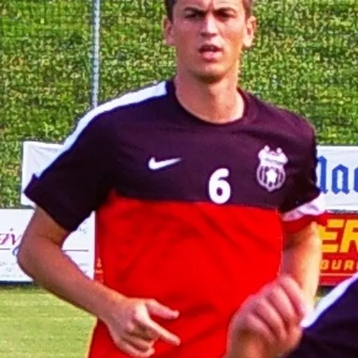 Portrait of Florin Gardoș