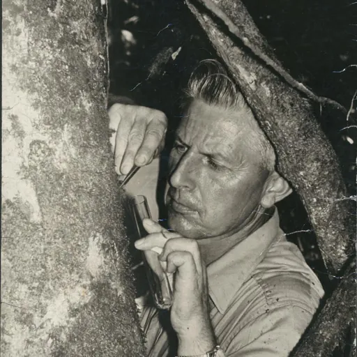 Portrait of Edward Shearman Ross