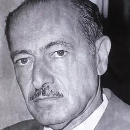 Portrait of José Fragelli