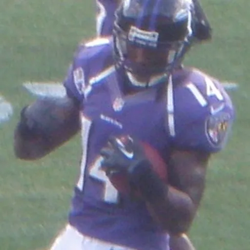 Portrait of Patrick Williams