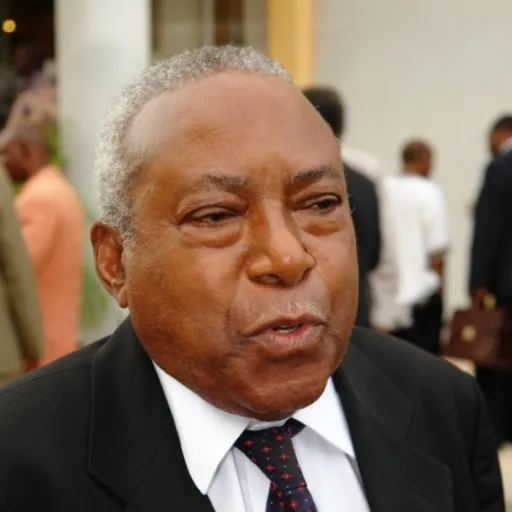 Portrait of Philemon Kiwelu Ndesamburo