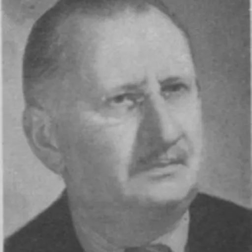 Portrait of Ivo Krbek