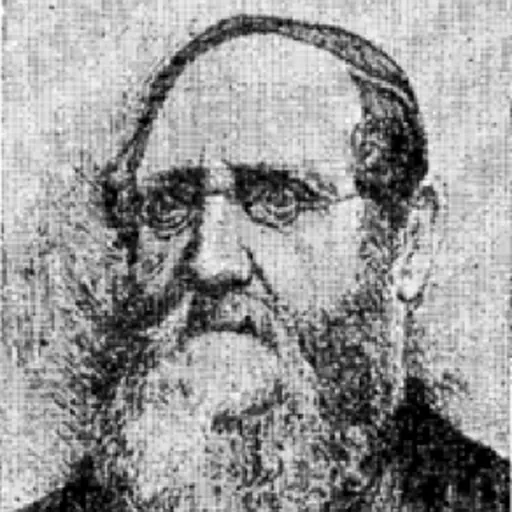 Portrait of Ossian Edmund Borg