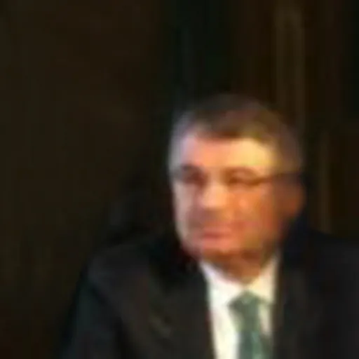 Portrait of İdris Naim Şahin