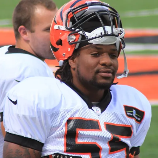 Portrait of Vontaze Burfict