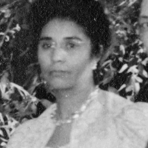 Portrait of Lucinda Todd