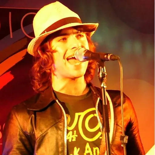 Portrait of Robert Schwartzman