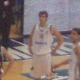 Portrait of Aris Tatarounis