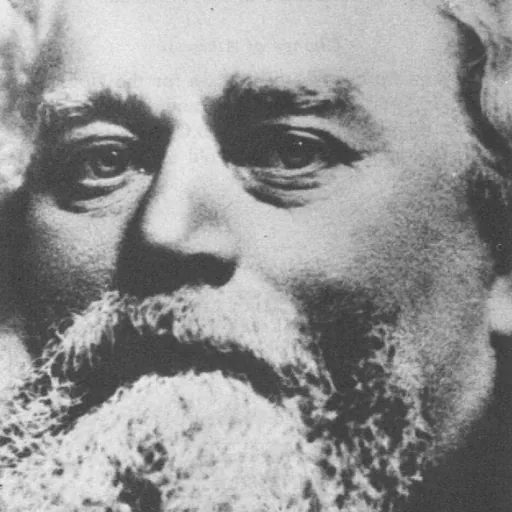 Portrait of William Maxwell Wood