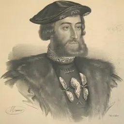 Portrait of Martin du Bellay