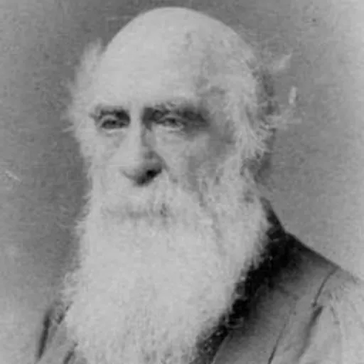 Portrait of Temple Chevallier