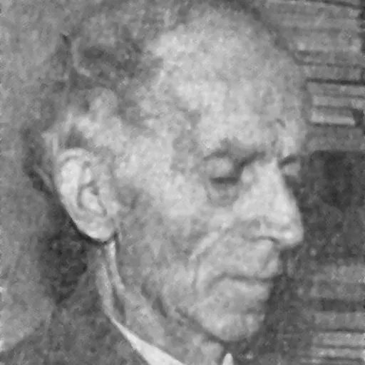 Portrait of Jan Gadomski