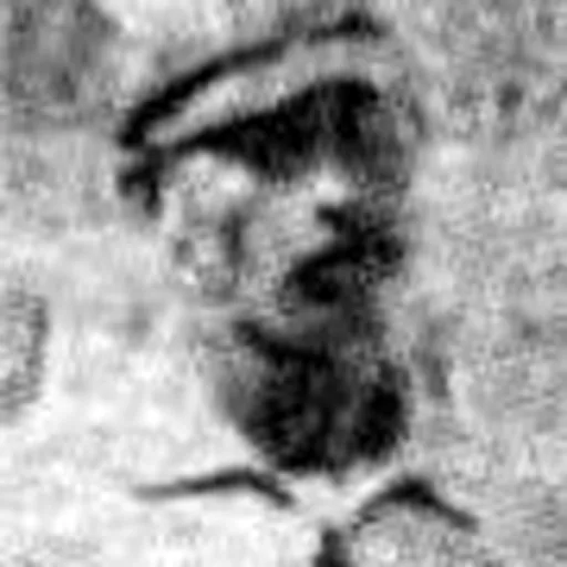 Portrait of Oscar Walker