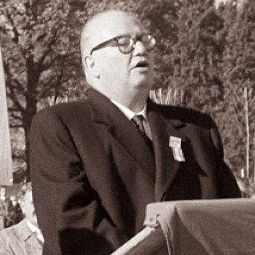 Portrait of Bruno Pittermann
