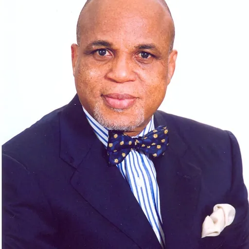 Portrait of Biodun Shobanjo