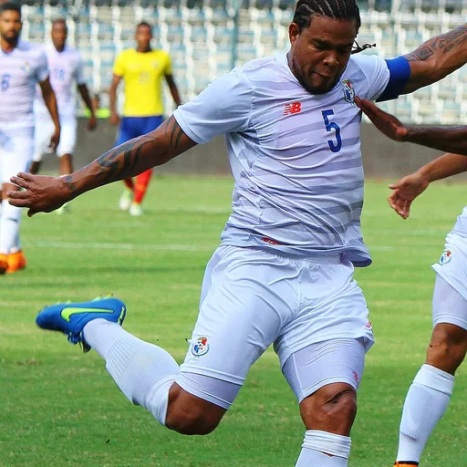 Portrait of Román Torres