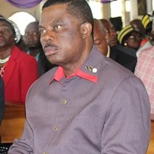 Portrait of Willie Obiano