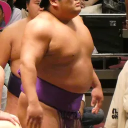 Portrait of Takerufuji Mikiya