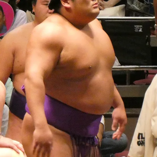 Portrait of Takerufuji Mikiya