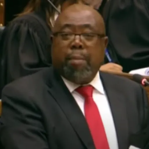 Portrait of Thulas Nxesi