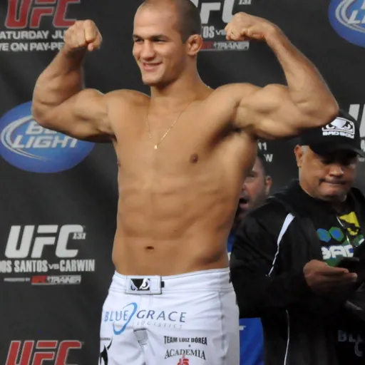 Portrait of Junior dos Santos