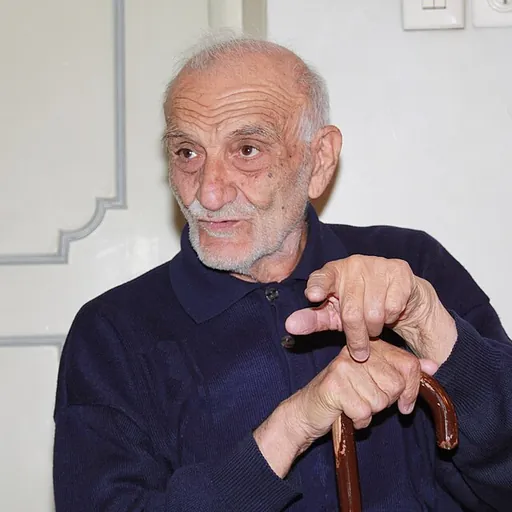 Portrait of Hossein Shah Hosseini