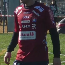 Portrait of Sebastian Johansson