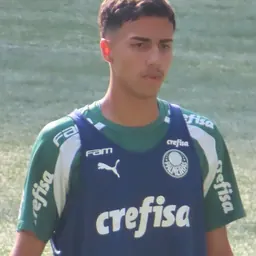 Portrait of Vitor Reis