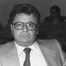Portrait of Dino Raugi