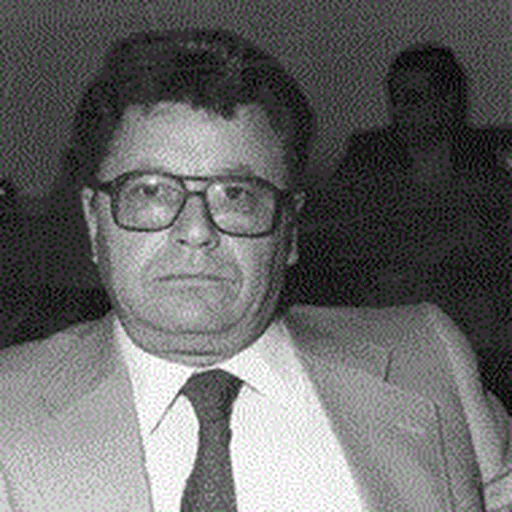Portrait of Dino Raugi