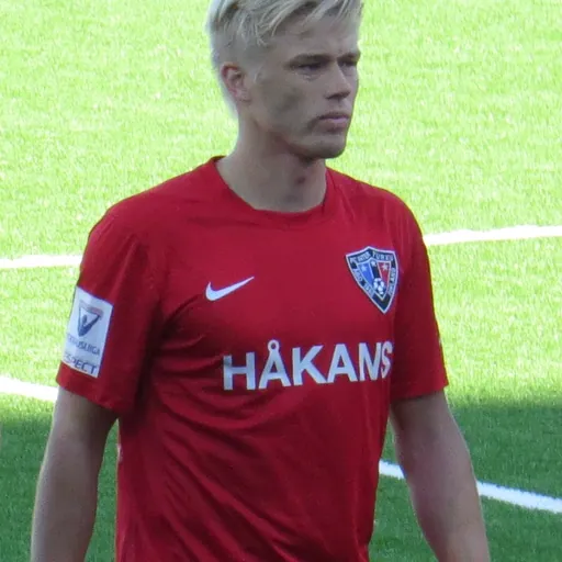 Portrait of Joni Aho