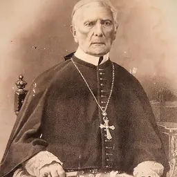 Portrait of Antônio Ferreira Viçoso