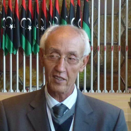 Portrait of Ahmed Adghirni