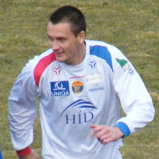 Portrait of Goran Arnaut