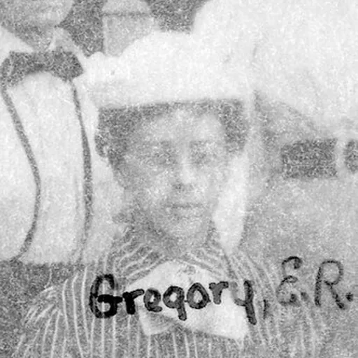 Portrait of Emily Ray Gregory