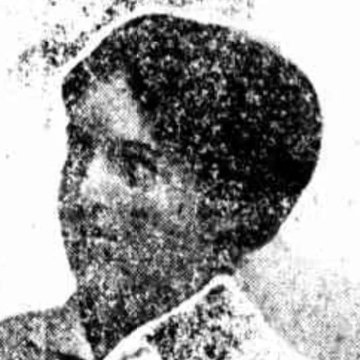 Portrait of Joice NanKivell Loch