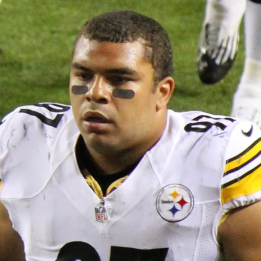 Portrait of Cameron Heyward