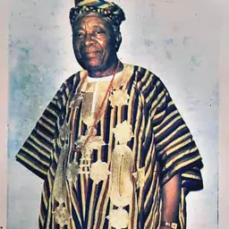 Portrait of Onafowokan Michael Olutusen