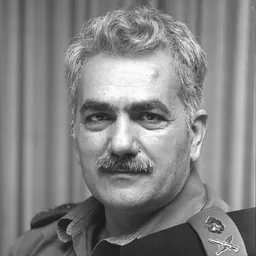 Portrait of Yehoshua Saguy
