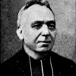 Portrait of Adolf Daens