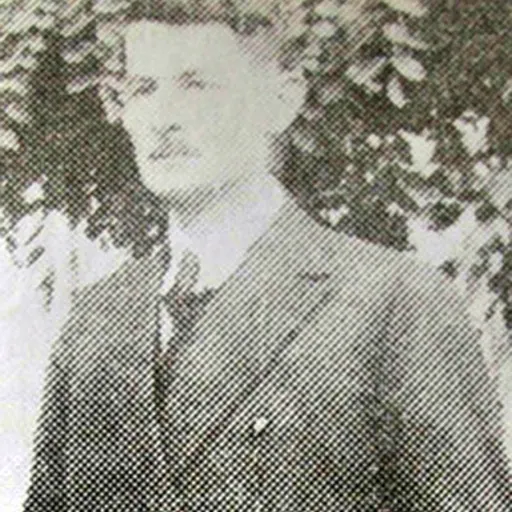 Portrait of Svetolik Dragačevac